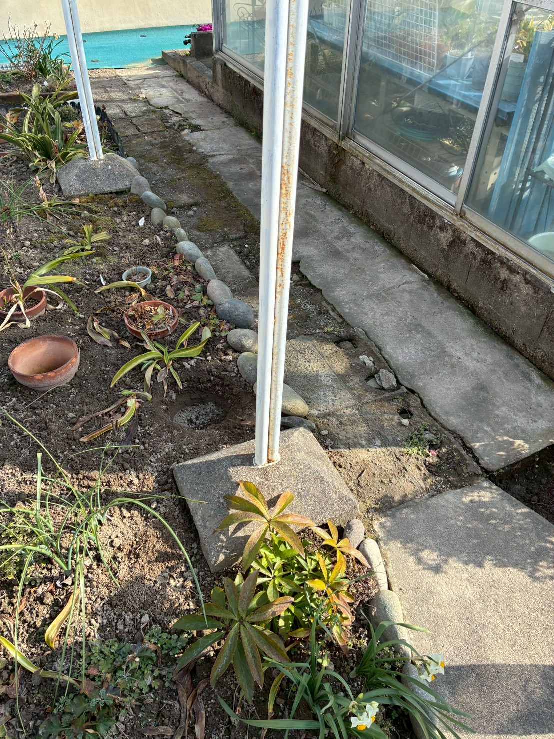 愛知県稲沢市　樹木撤去工事