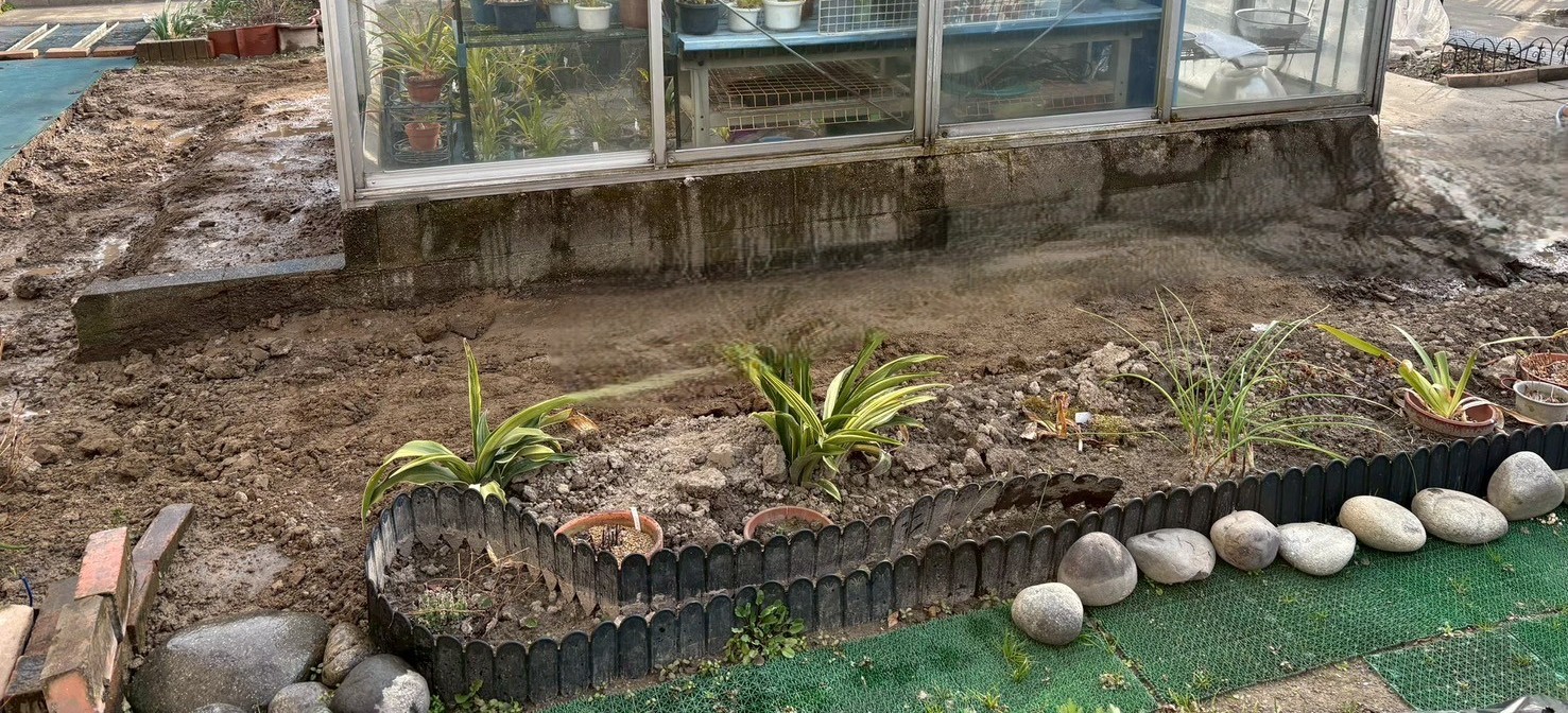 大中環境,施工事例,愛知県稲沢市　樹木撤去工事