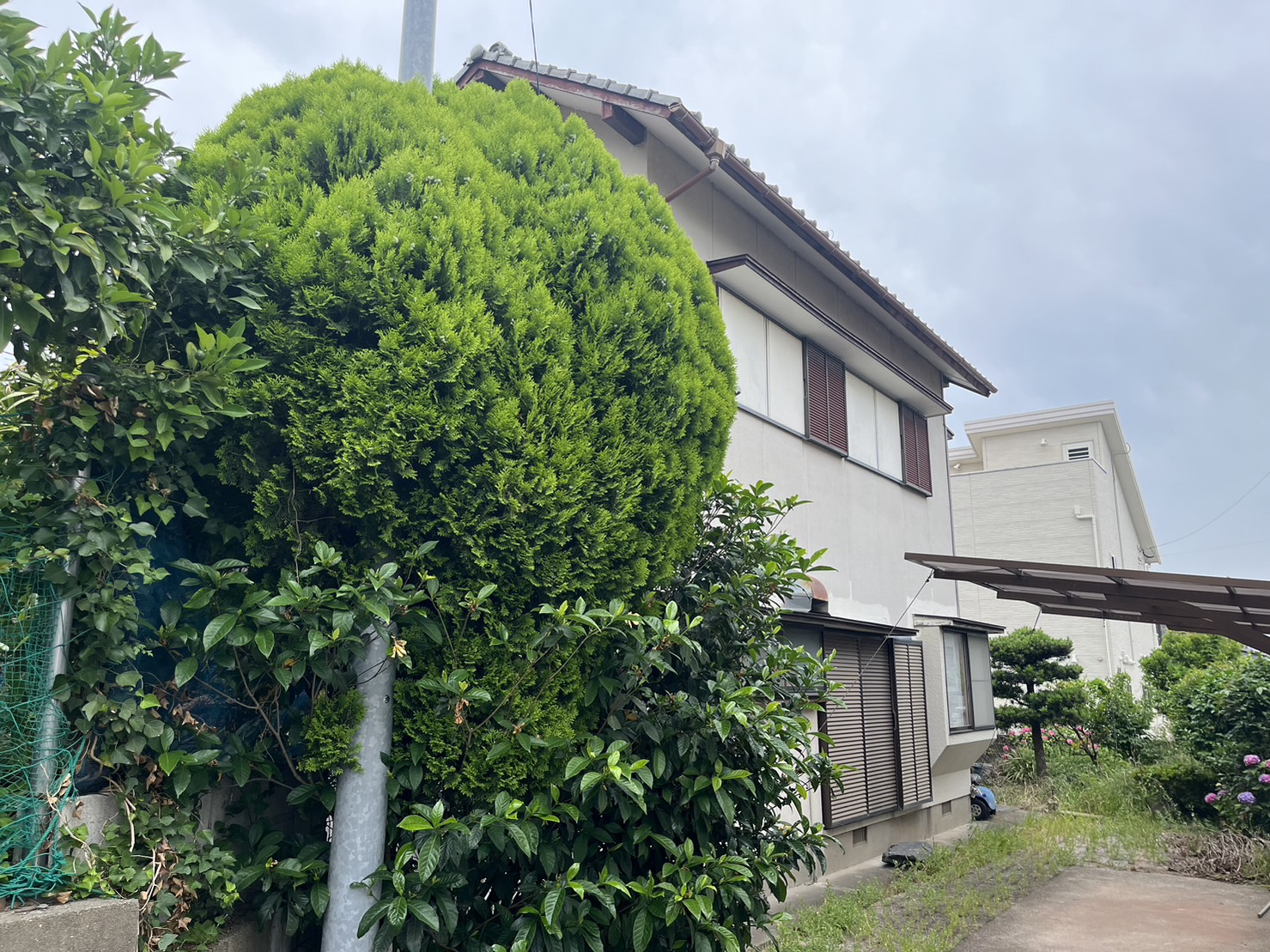 大中環境,施工事例,福岡県北九州市小倉南区湯川　解体工事